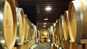 Caudete_de_las_Fuentes_Bodegas_Iranzo_Bodega_de_envejecimiento_1