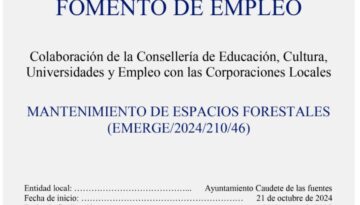 CARTEL EMERGE 2024 JPG