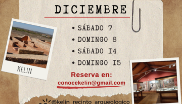 VISITAS KELIN DICIEMBRE 90%